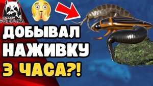🤔 Как добыть ГОЛД НАЖИВКУ в РР4? РР4 ГОЛД НАЖИВКА [РР4 ПИЯВКА;ВОДОРОСЛИ РР4 КАК ДОБЫТЬ ВОДОРОСЛИ]
