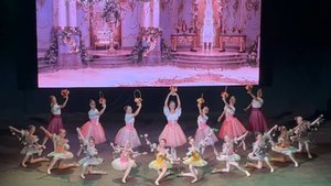 ВАЛЬС Цветов, 20.11.2024, Зимний театр