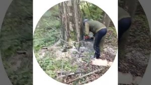 заготовка дров на зиму