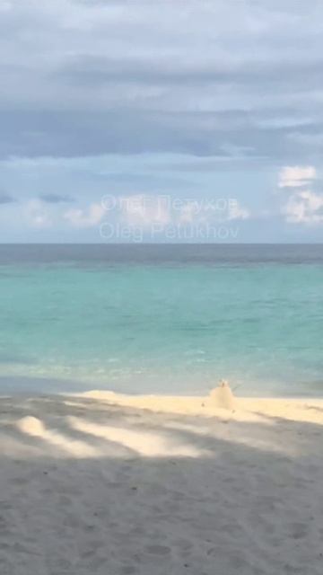 Мальдивы. Maldives. 马尔代夫。 смотреть онлайн