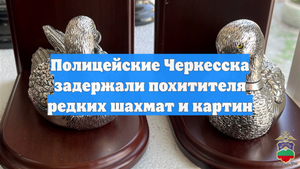 Полицейские Черкесска задержали похитителя редких шахмат и картин
