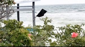 Бешеная Балтика. Лето в Зеленоградске