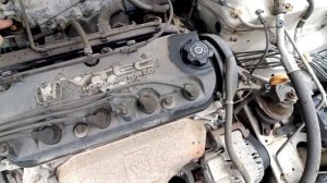 Z477 Honda Accord Wagon, CF6, F23A