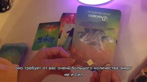 ПРОГНОЗ для всех ЗНАКОВ ЗОДИАКА на ближайший МЕСЯЦ (лунный)🌒🌝. ГОРОСКОП от духов животных 🐨🌿