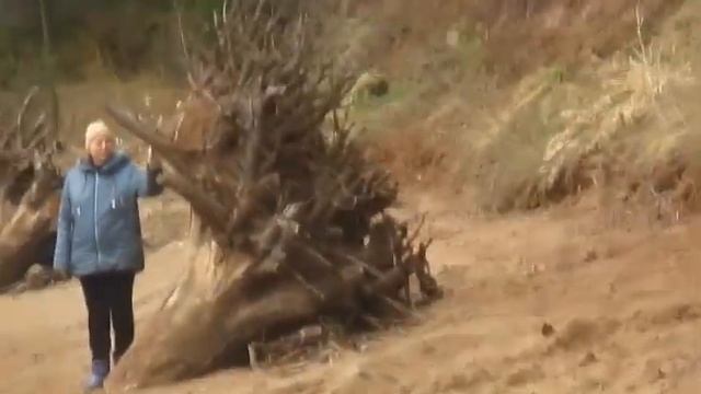 Девушка по имени весна - Автор музыка и поёт Дима Фантомас смотреть онлайн