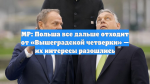 MP: Польша все дальше отходит от «Вышеградской четверки» — их интересы разошлись
