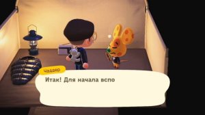 Играю с Чаддером в карты