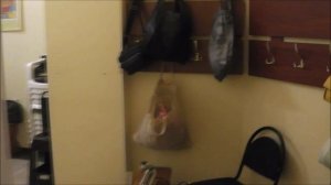 Новости от СЕВЕРЯНОЧЕК. Зарисовка 26.08.2025г.