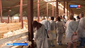 Кировские педагоги начали осваивать агротехнологические предметы