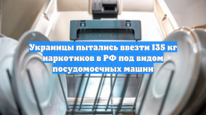 Украинцы пытались ввезти 135 кг наркотиков в РФ под видом посудомоечных машин