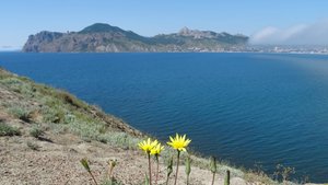 "Звездопад Воспоминаний" с.Наниково, Республика Крым .