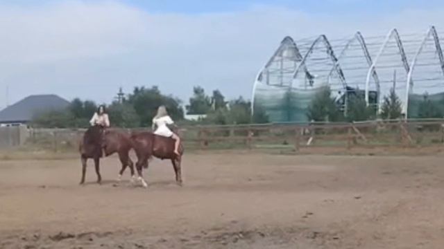 ДЕНЬ ЛОШАДИ..в ЗОЛОТОЙ ПОДКОВЕ 
аал Сапогов.
очень отличный и душевный праздник..