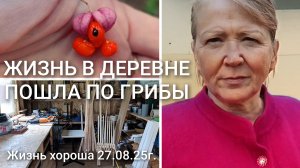 ЖИЗНЬ В ДЕРЕВНЕ _ ПОШЛА ПО ГРИБЫ _ ЖИЗНЬ ХОРОША 27.08.25г