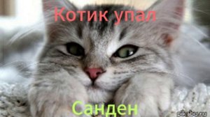 Котик упал трек от Санден
