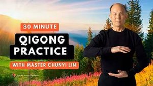 YT02-08 Пять базовых элементов с основателем школы Цигун Весеннего Леса Чуньи Лин. День 5 из 5