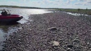 Хариус на Ю.Ергалахе г.Норильск 23.08.2025
