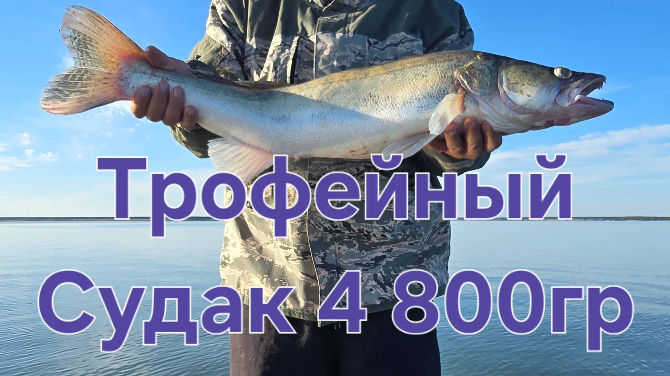 ПАНОПТИКС В ДЕЛЕ: Случайная поимка трофея. Что такое Panoptix. смотреть онлайн