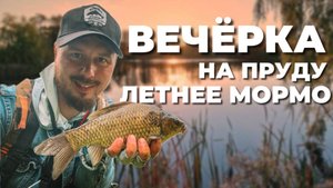 ЛЕТНЕЕ МОРМО! Вечёрка на домашнем пруду. ЛОВЛЯ КАРАСЯ и ОКУНЯ на спиннинг.