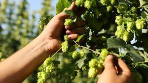 «Балтика» завершила научную экспедицию в Горный Алтай