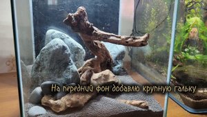 Запуск аквариума кубика на 20л: дизайн и оформление.