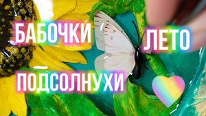 Как залить бабочек и цветы из полимерной глины эпоксидной смолой