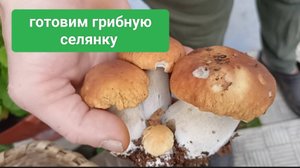 Грибная селянка