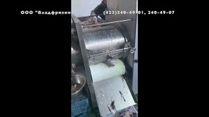 Мясокостный сепаратор VFSPM-2000 (произв-ть 2000 кг/час) (ООО "Владфризинг")
