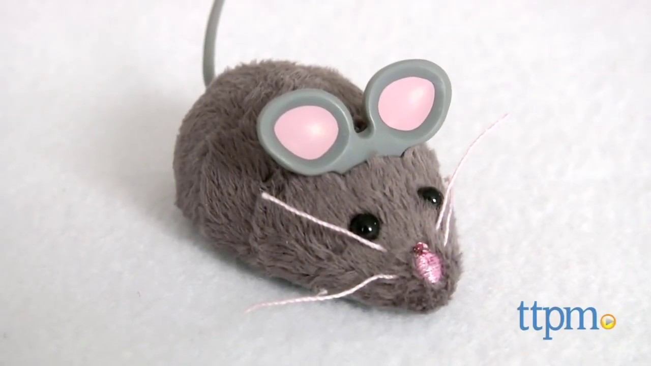 Hexbug Mouse Robotic Cat Toy