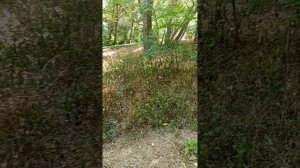 1000055730.mp4