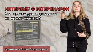 Наркоз у животных | что должен знать каждый владелец