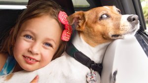 Что ты видишь — Песня для детей Майи и Маши+Детские сборники