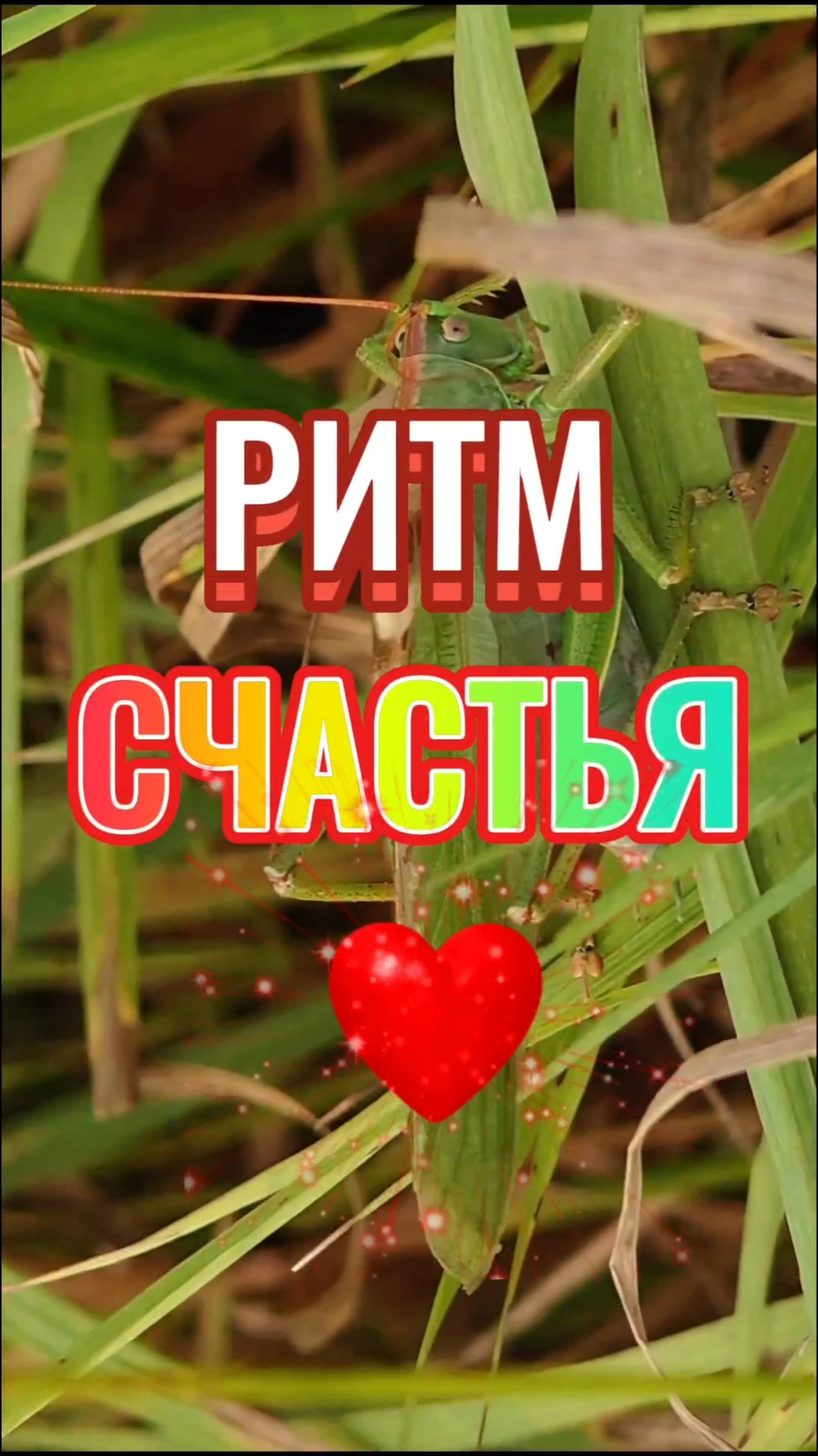 РИТМ СЧАСТЬЯ!