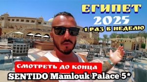 Египет 2025 🇪🇬 ЭТО Я УДАЧНО ЗАШЁЛ SENTIDO Mamlouk Palace 5* УЖИН и ШОУ-ПРОГРАММА