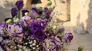 Наши цветы мамочке Богородицы в Храм Успения Пресвятой Богородицы в Гефсимании