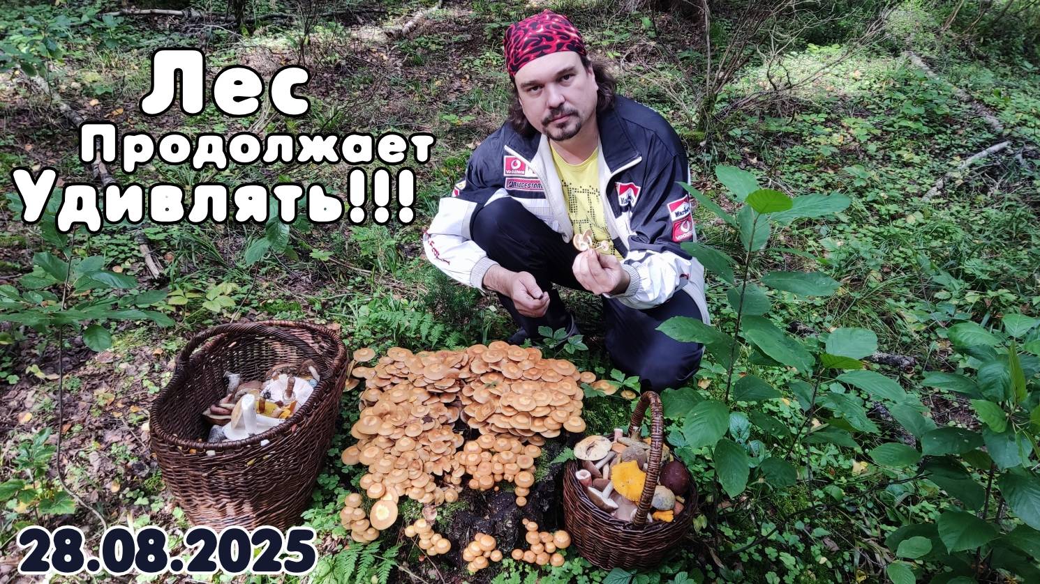 Лес продолжает удивлять!!! 28.08.2025 смотреть онлайн