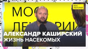 Жизнь насекомых | Александр Каширский Лекция 2025 | Мослекторий