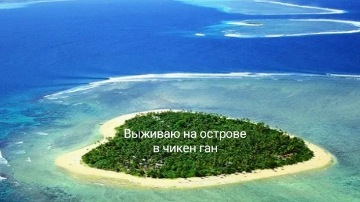 выживаю на острове в чикен ган
