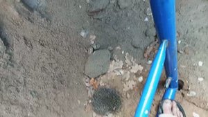 1000026004.mp4