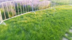 посидим поговорим потом погулять сходим