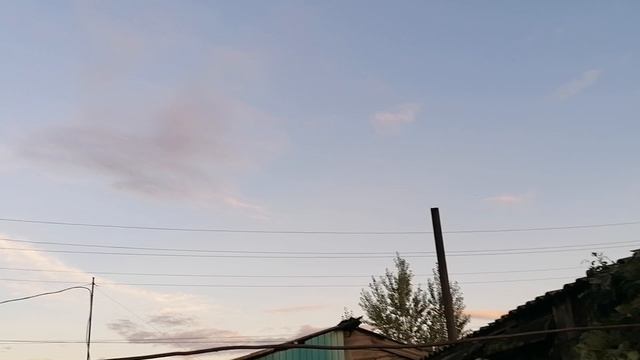 ЛЕТНЕ-ОСЕННИЙ ВЛОГ/УРОЖАЙ-2025/ МНОГО ЦВЕТОВ/КРАСОЧНЫЙ ВЛОГ