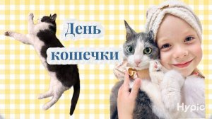 кошачьи приключения Васи и Миры дома