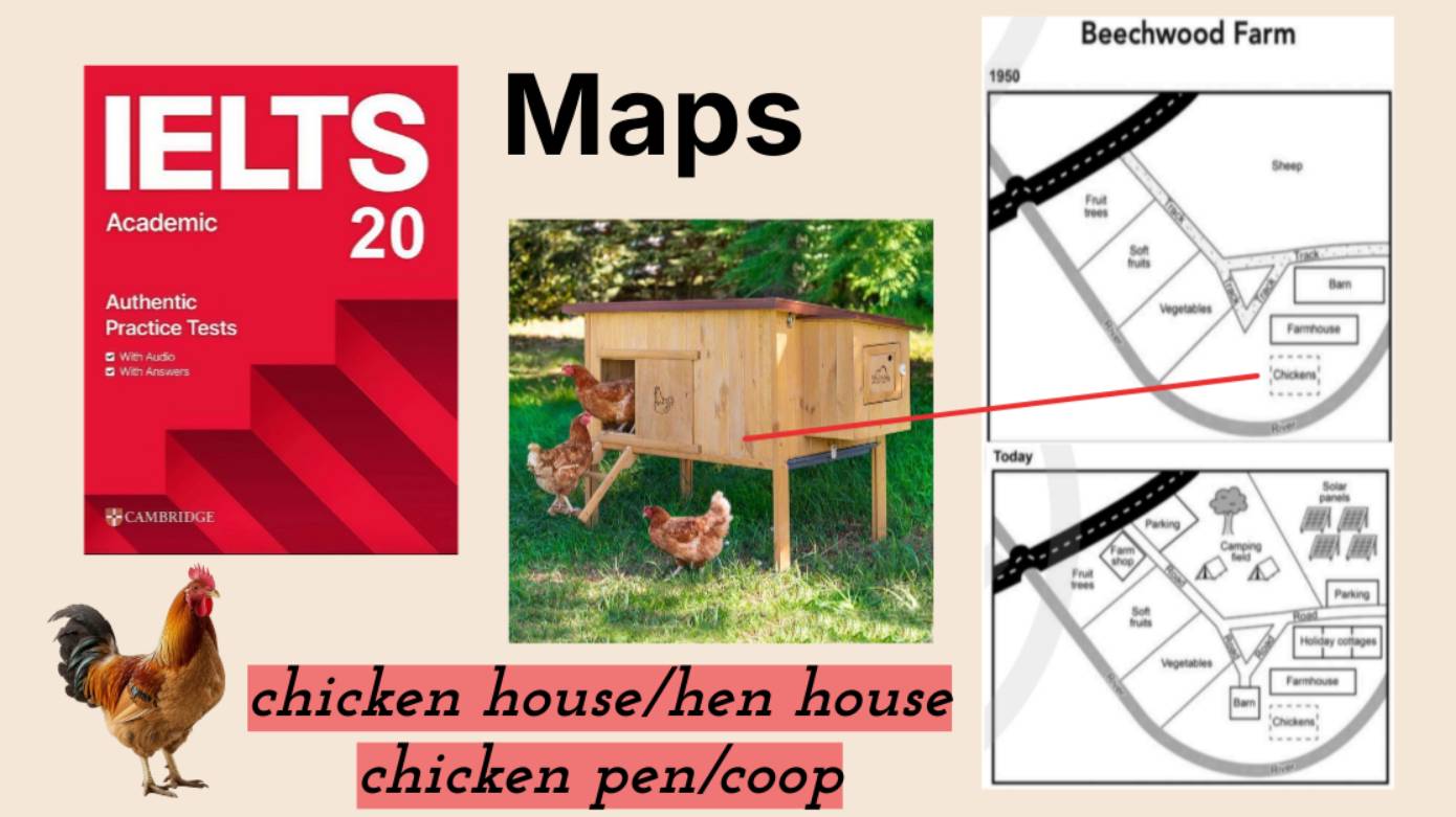 IELTS Cambridge 20  Разбираем Writing Task 1 Test 2
