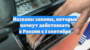 Названы законы, которые начнут действовать в России с 1 сентября