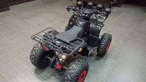 Обзор квадроцикла Bison KIDS 125 LD