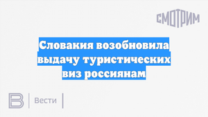 Словакия возобновила выдачу туристических виз россиянам