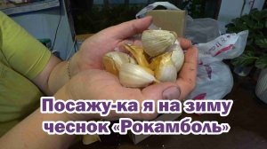 Обзор покупок с маркетплейса: озимый чеснок, брюки спортивные, боксеры, лук-чеснок, крышки винтовые