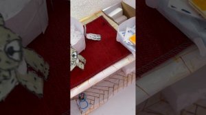 Делаю домик для бумажных собак 🏡+новый питомец 🐶