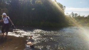 уральский барс 2 этап