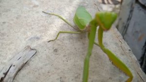 ГОСПОДИ,ПРОСТИ МЕНЯ