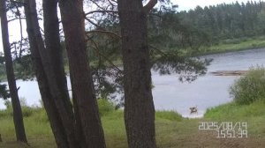 Нагонка 19.08.2025